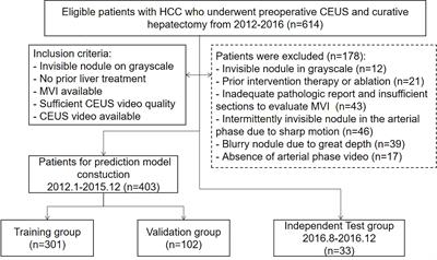 Deep Learning of Liver Contrast-Enhanced Ultrasound to Predict Microvascular Invasion and Prognosis in Hepatocellular Carcinoma